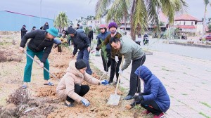 Phường Cao Xanh trồng cây đầu xuân Ất Tỵ 2025