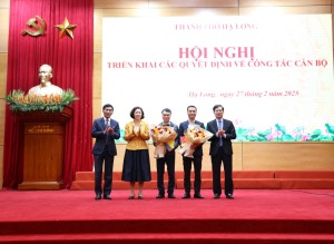 Hội nghị triển khai Nghị quyết của HĐND thành phố về thành lập, tổ chức lại các phòng chuyên môn thuộc UBND TP