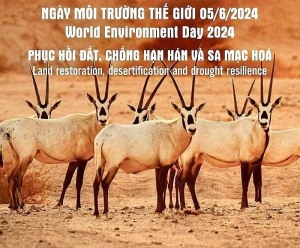 Ngày Môi trường thế giới 2024: Phục hồi đất, chống hạn hán và sa mạc hóa